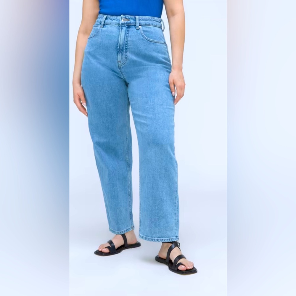 NWOT Everlane The Curvy Way High Jean Size 29 Light Indigo